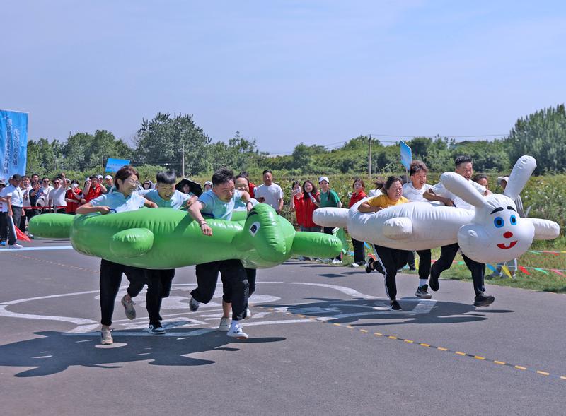 龟兔赛跑